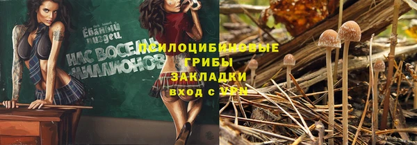 бошки Алексин